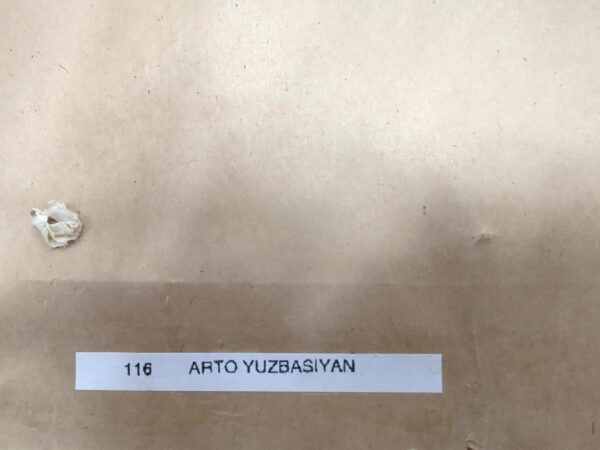 Untitled (HOT AIR BALLOON RIDE)