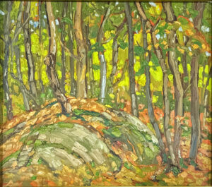 Bush - Amour TWP, Parry Sound