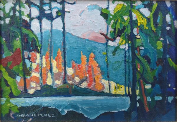 Near China Creek. Port Alberni