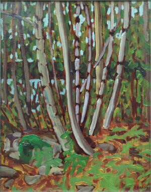 Peeking out to Lake Temagami