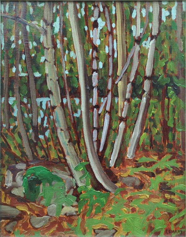 Peeking out to Lake Temagami