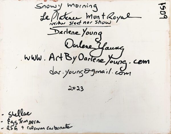 Snowy Morning Le Plateau Mont Royal